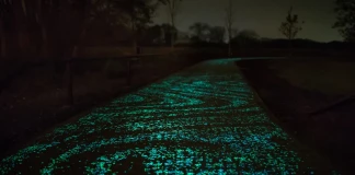 Вело пътека посветена на Ван Гог