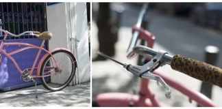 X Lines. Снимка: Консепт Криейтив