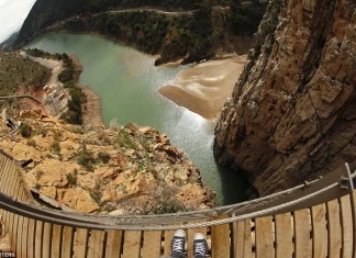 Колелата на Велопарк Пампорово на разпродажба