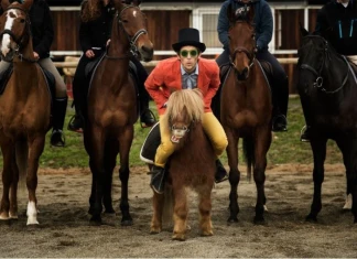 Woodys style Woody style