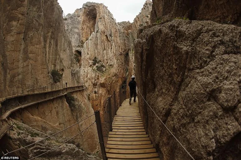 Колелата на Велопарк Пампорово на разпродажба