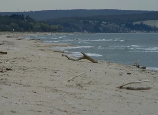 „Камчийски пясъци“