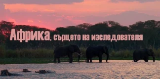 Африка, сърцето на изследователя