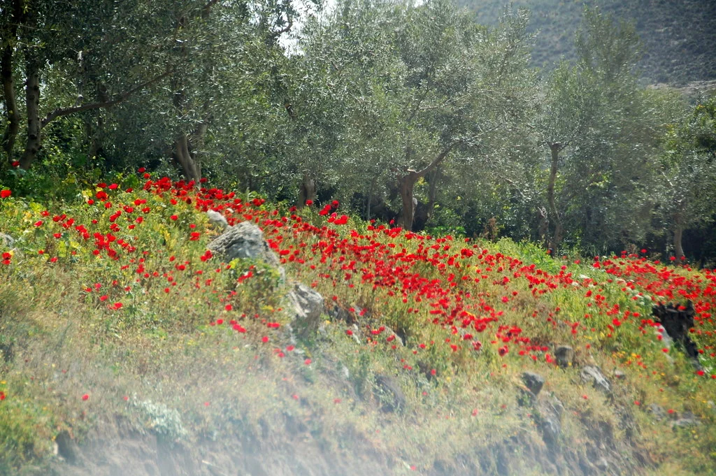 Преходи в Гърция - Пелопонес