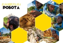 В кошера на Робота В кошера на Робота