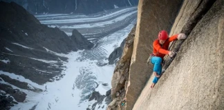 Лео Холдинг