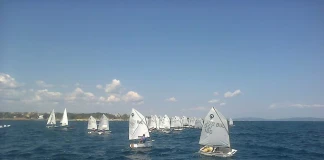 ветроходство