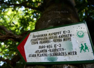 Кой къде е по Ком-Емине Дизела, Ком-Емине. Фотограф: Камелия Атанасова