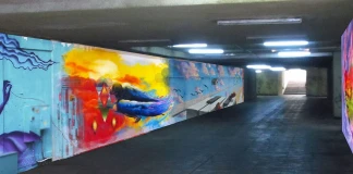 SESVENNA DST на SALEWA