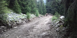 Пътят към Демяница Пътят към хижа Демяница