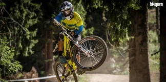 Теодор Мавродиев, VIVO