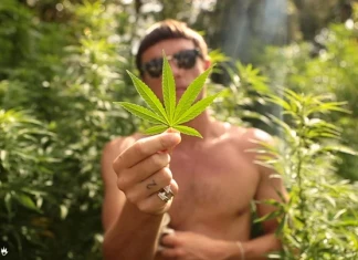 Скейт, коноп, hеmp, марихуана? Скейт, коноп, hamp, марихуана - Afends