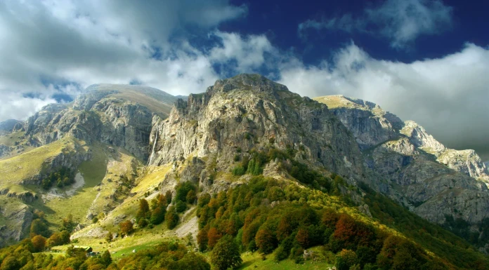 Зад чистия фокус на Владимир Гергов Владимир Гергов