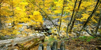 360° прогноза: 24-25 октомври Планина, есен