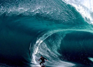 Есенно-зимно и цветно Animal