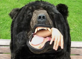 Мечешки сън bear-sleeping-bag