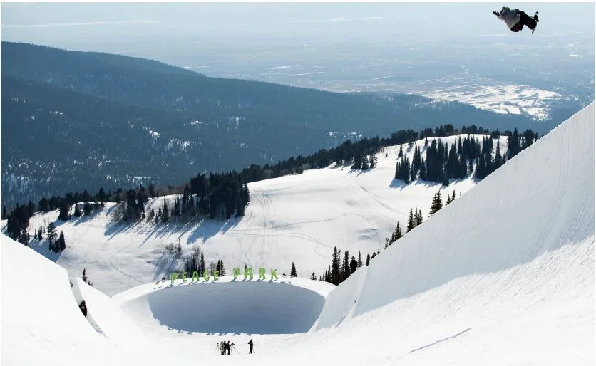 Зима 2015, Шейпъри