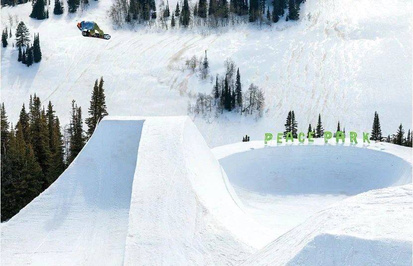 Зима 2015, Шейпъри