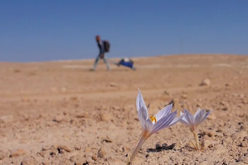 "По стъпките на Бога"