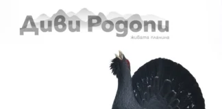 Изложба „Диви Родопи“ Изложба Диви Родопи