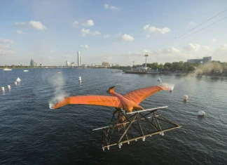 Red Bull Flugtag