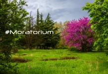 Градски паркове под заплаха Стара Загора