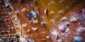 Дея Владимирова