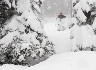 Мелодиите на зимата