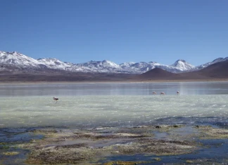 Slow travel, Тина Нинова