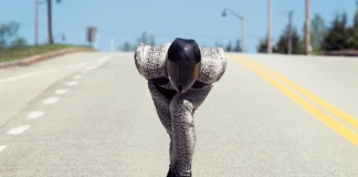 Лонгборд - рекорд