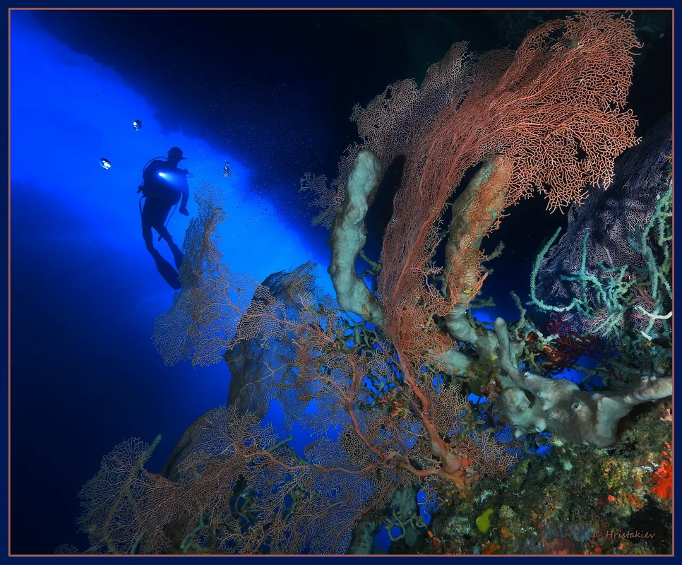 николай христакиев гмуркане фотография