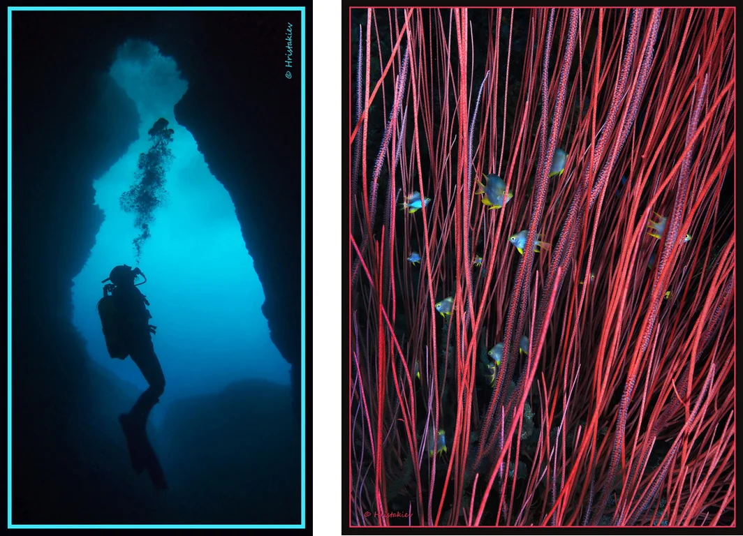 николай христакиев гмуркане