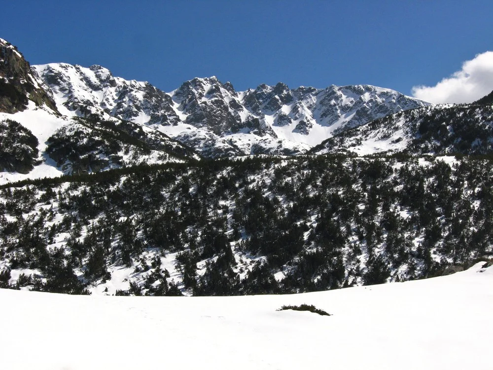 връх куките