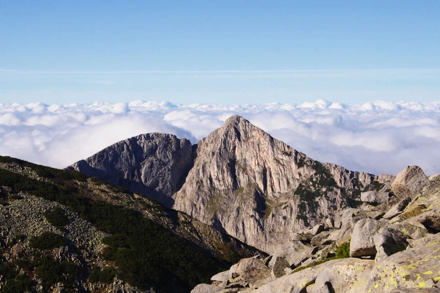 връх Синаница