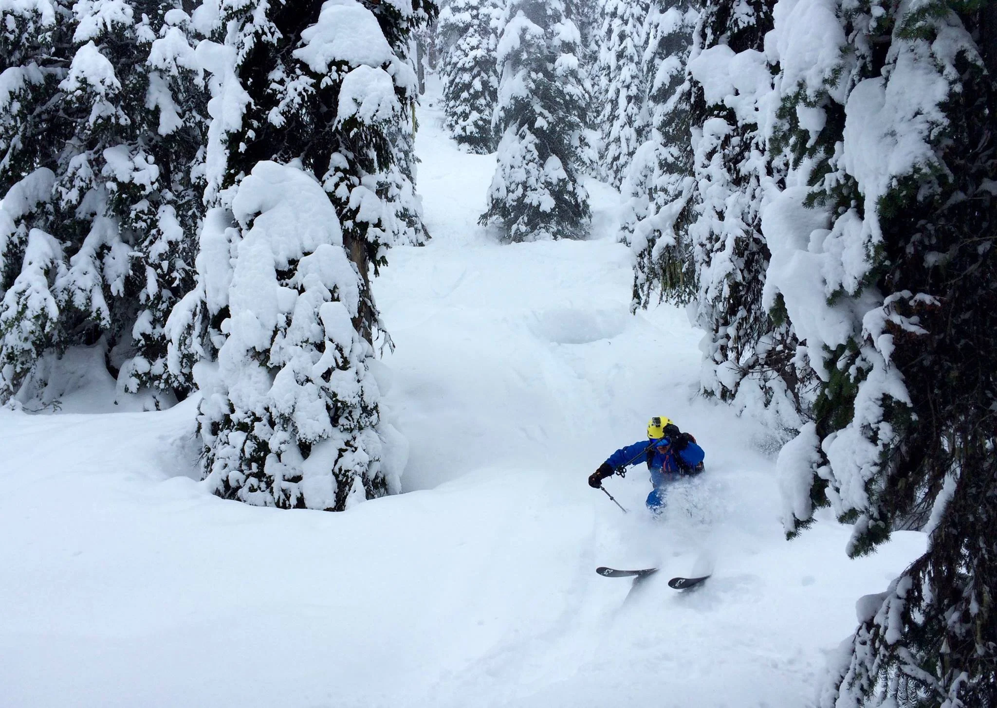 Фрийрайд в Британска Колумбия