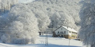 Хижа Пършевица
