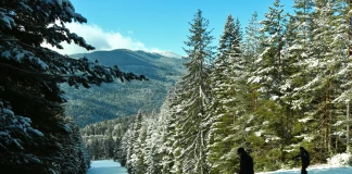 Една от пистите на курорт "Семково"