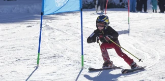Световен ден на снега, Боровец