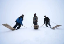 Древни сноубордове от Петран, Североизточна Турция