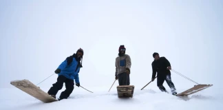 Древни сноубордове от Петран, Североизточна Турция
