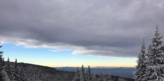 витоша ски пейзаж