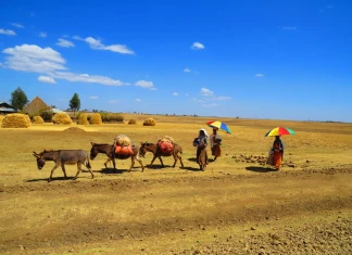 Етиопия, Ира Кюрпанова