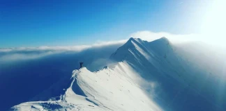 НЕчовек на годината 2016