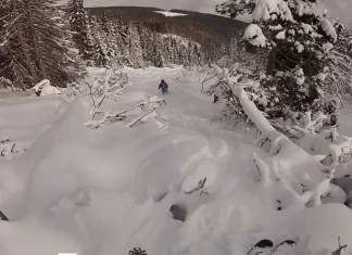 SICK Line видео