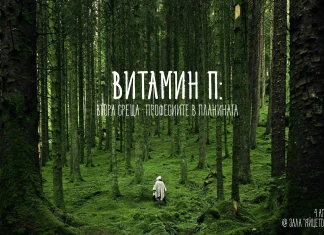 Витамин П дискусия