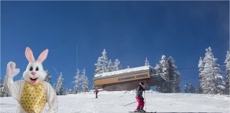 Боровец