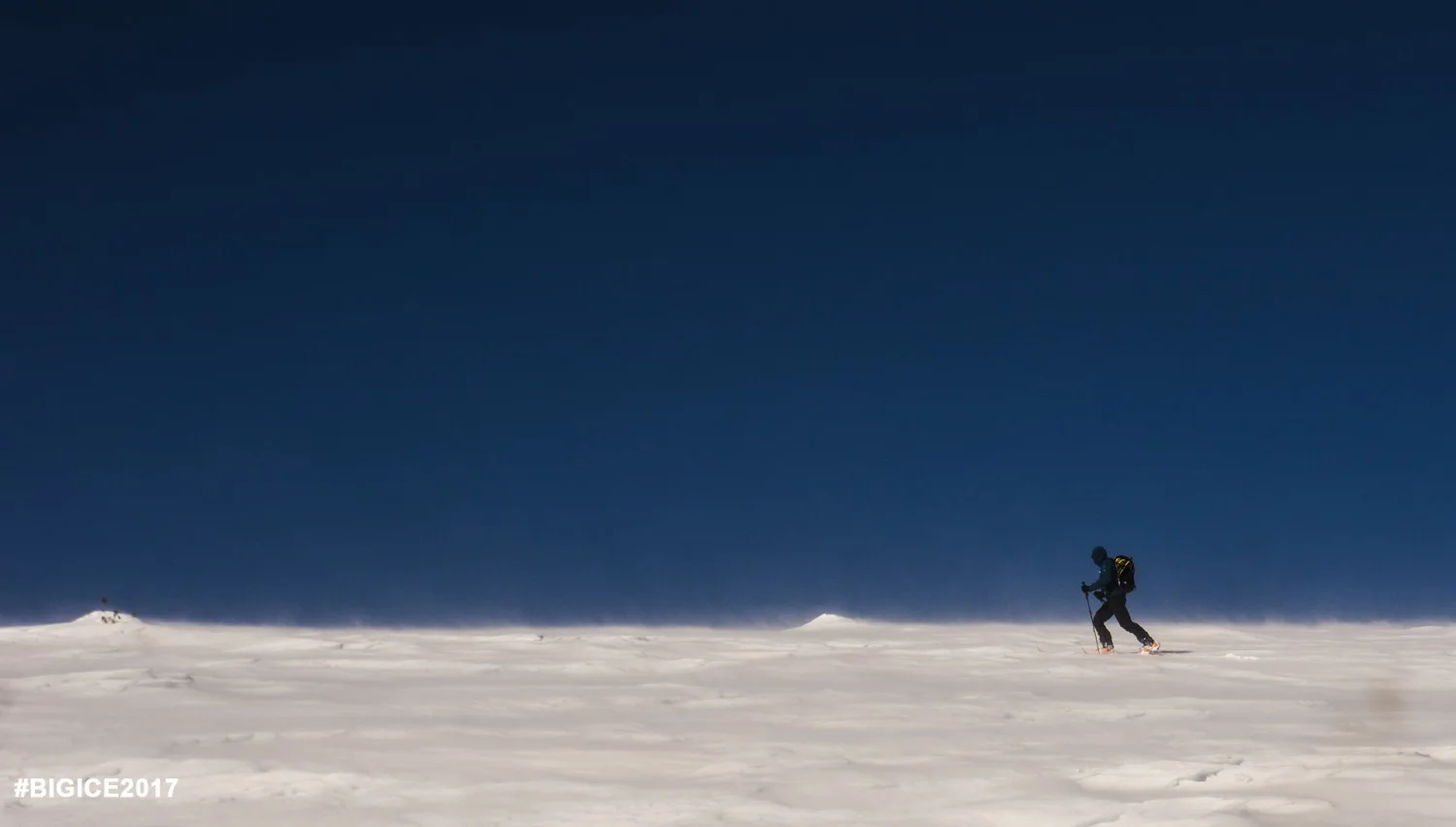 Бранислав Бранков