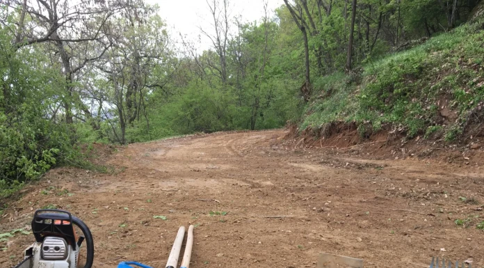 По трасето: Емил Кузманов за „Папреница“ Папреница