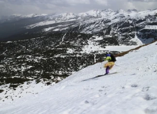 JAMбуре на БАССЕС бассес джамбуре