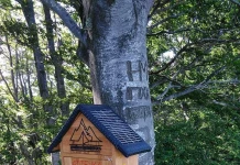 Аптечка на пътечка: една добра идея Аптечка със соларен панел